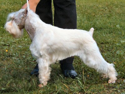 alpatsitsakindofmagic