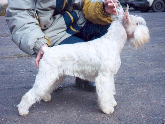 M&aacute;trasz&eacute;pe Katarina