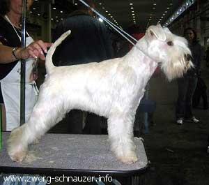 M&aacute;trasz&eacute;pe Rock Me Amadeus