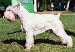 Alpats It&acute;s A Kind Of Magic