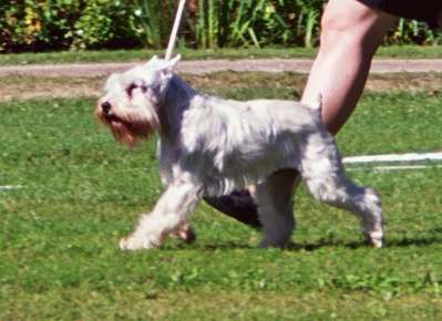 Alpats It&acute;s A Kind Of Magic