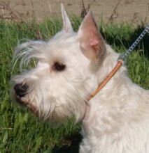 M&aacute;trasz&eacute;pe Katarina